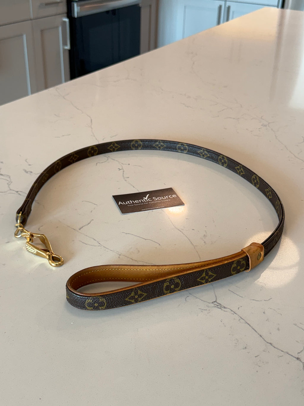 Louis Vuitton Dog Leash
