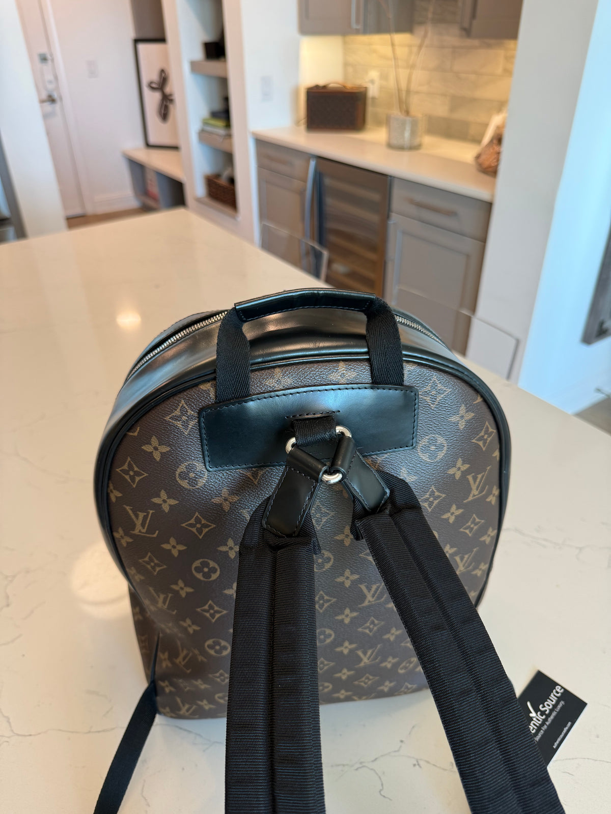 Louis Vuitton Josh Backpack Macassar