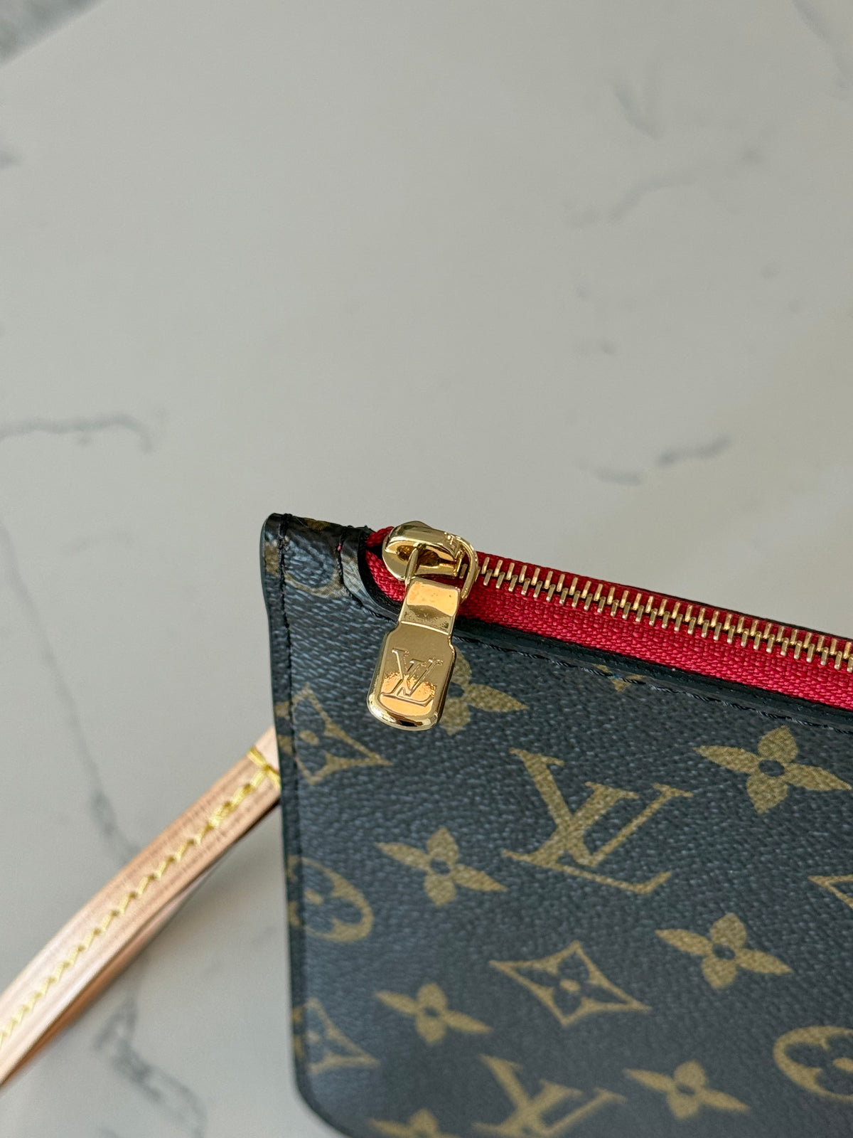 Louis Vuitton Clutch/Pouch