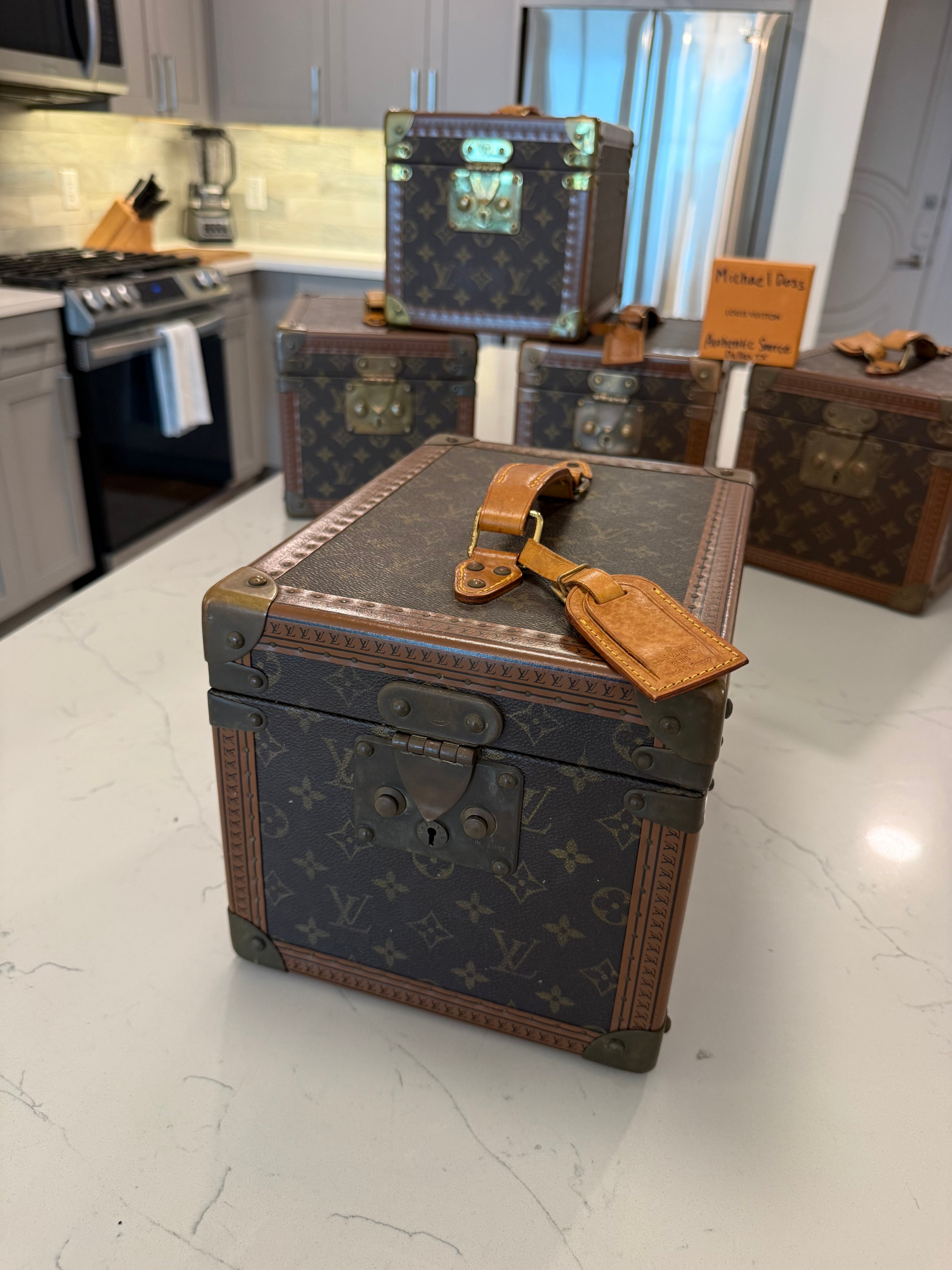 Louis Vuitton Boite Falcons Vanity Trunk