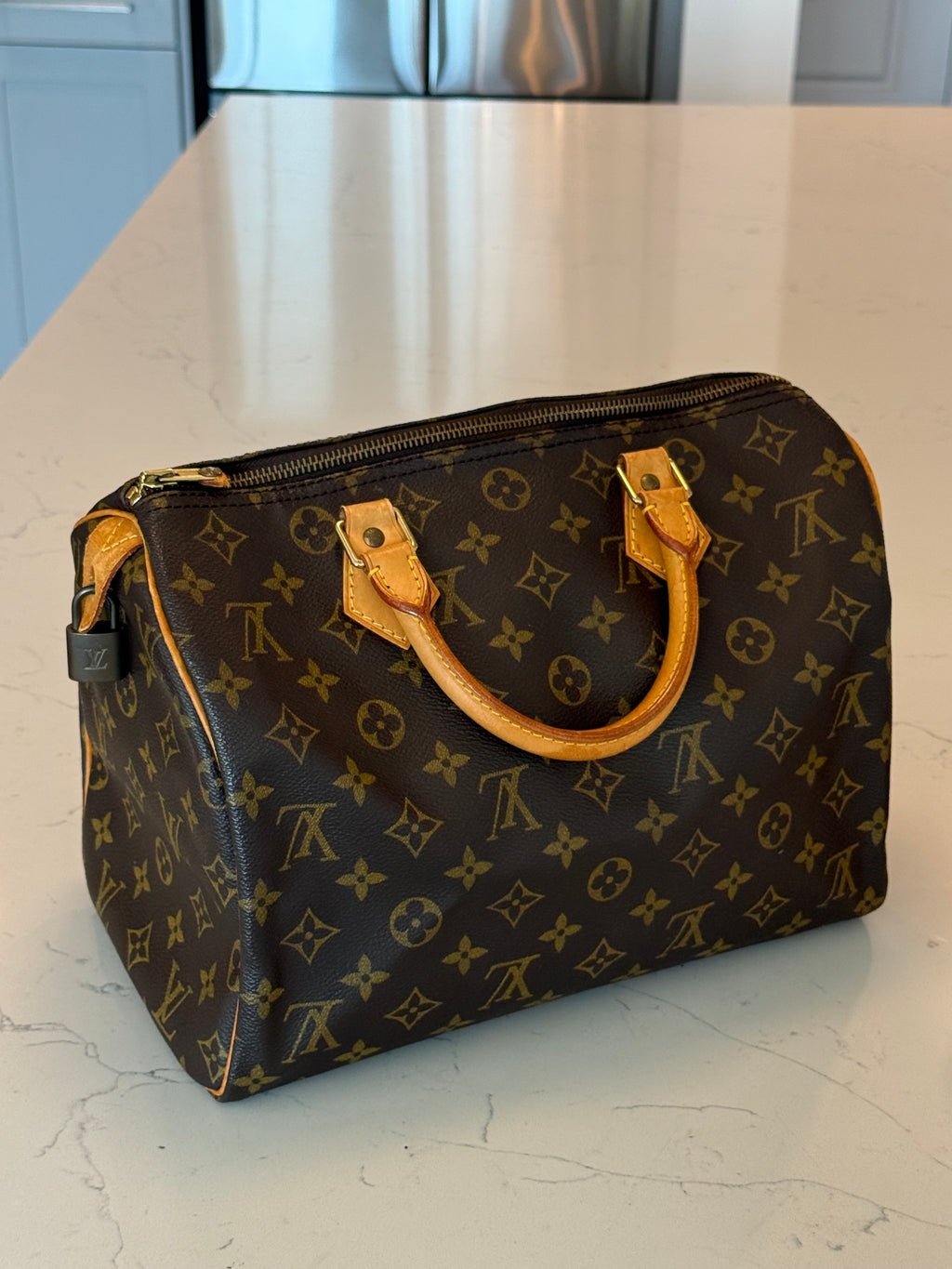Louis Vuitton Speedy 30