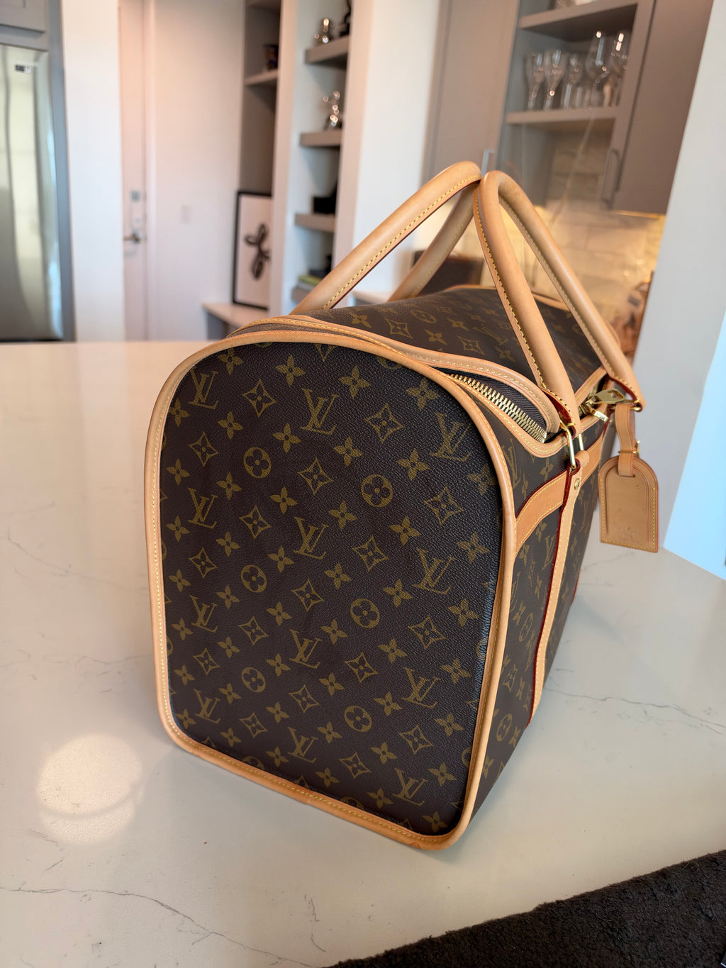 Louis Vuitton Sac Chein Pet Carrier New Model