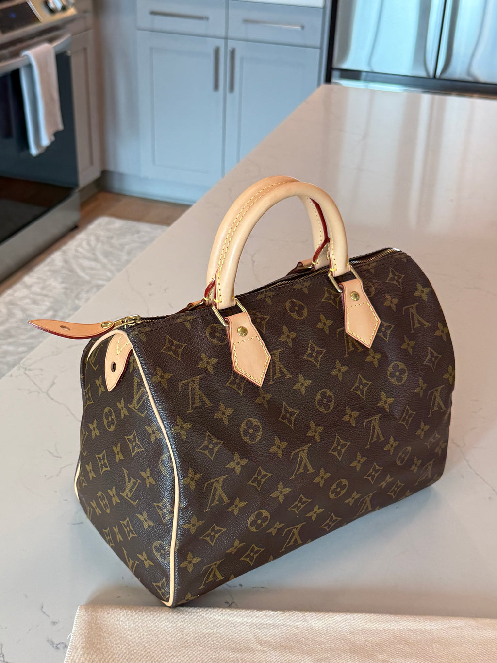 Louis Vuitton Speedy 30