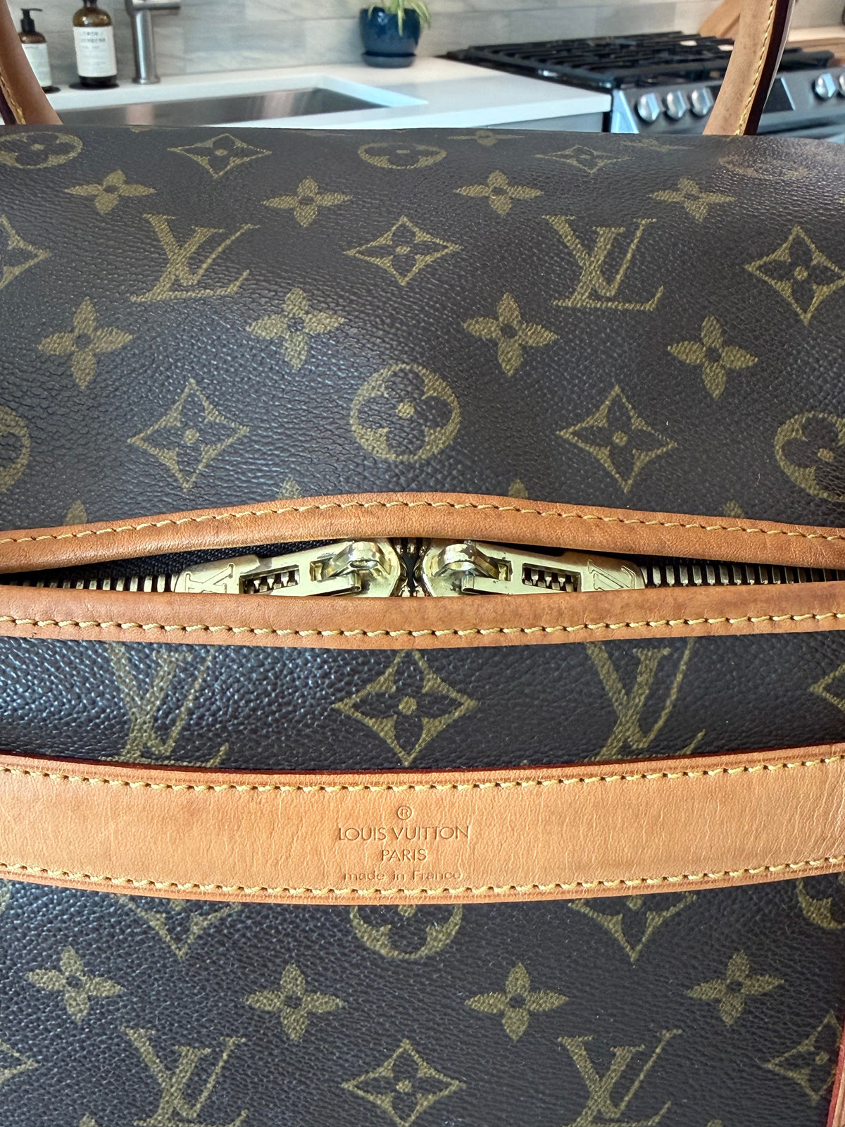 Louis Vuitton Pet Carrier Sac Chein 50