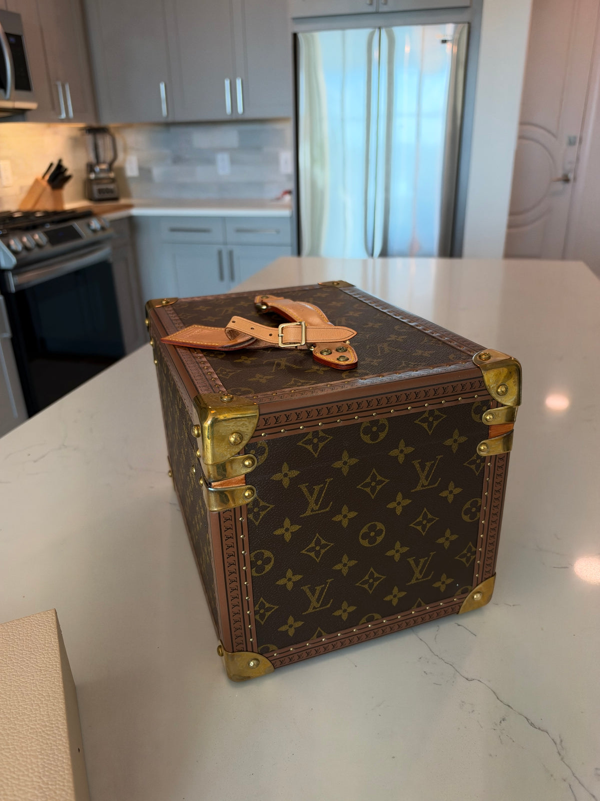 Louis Vuitton Boite Falcons Vanity Trunk