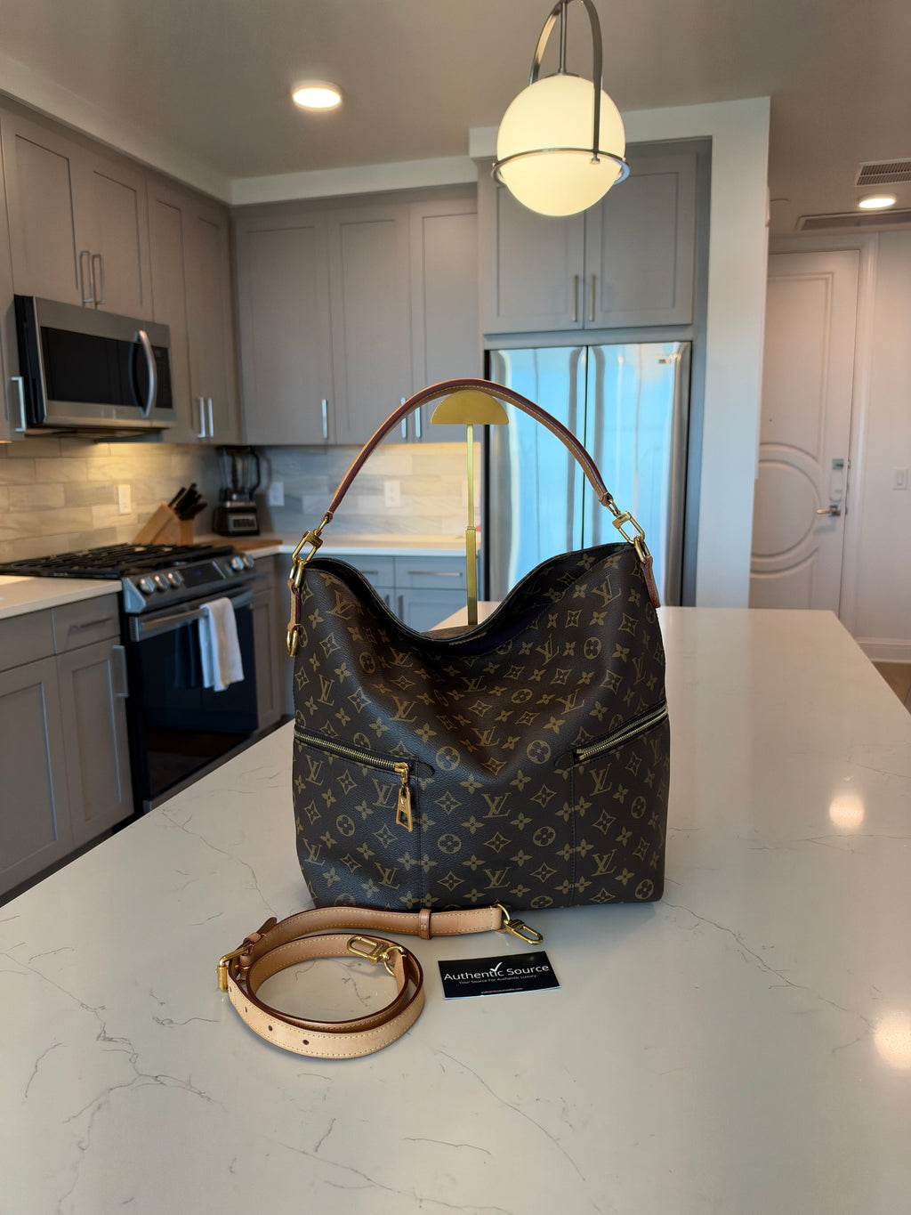 Louis Vuitton Métis Hobo