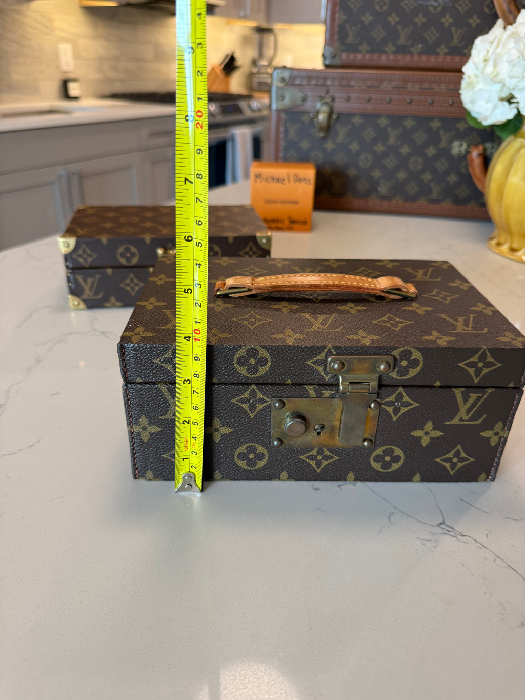 Louis Vuitton Jewelry Accessory Trunk