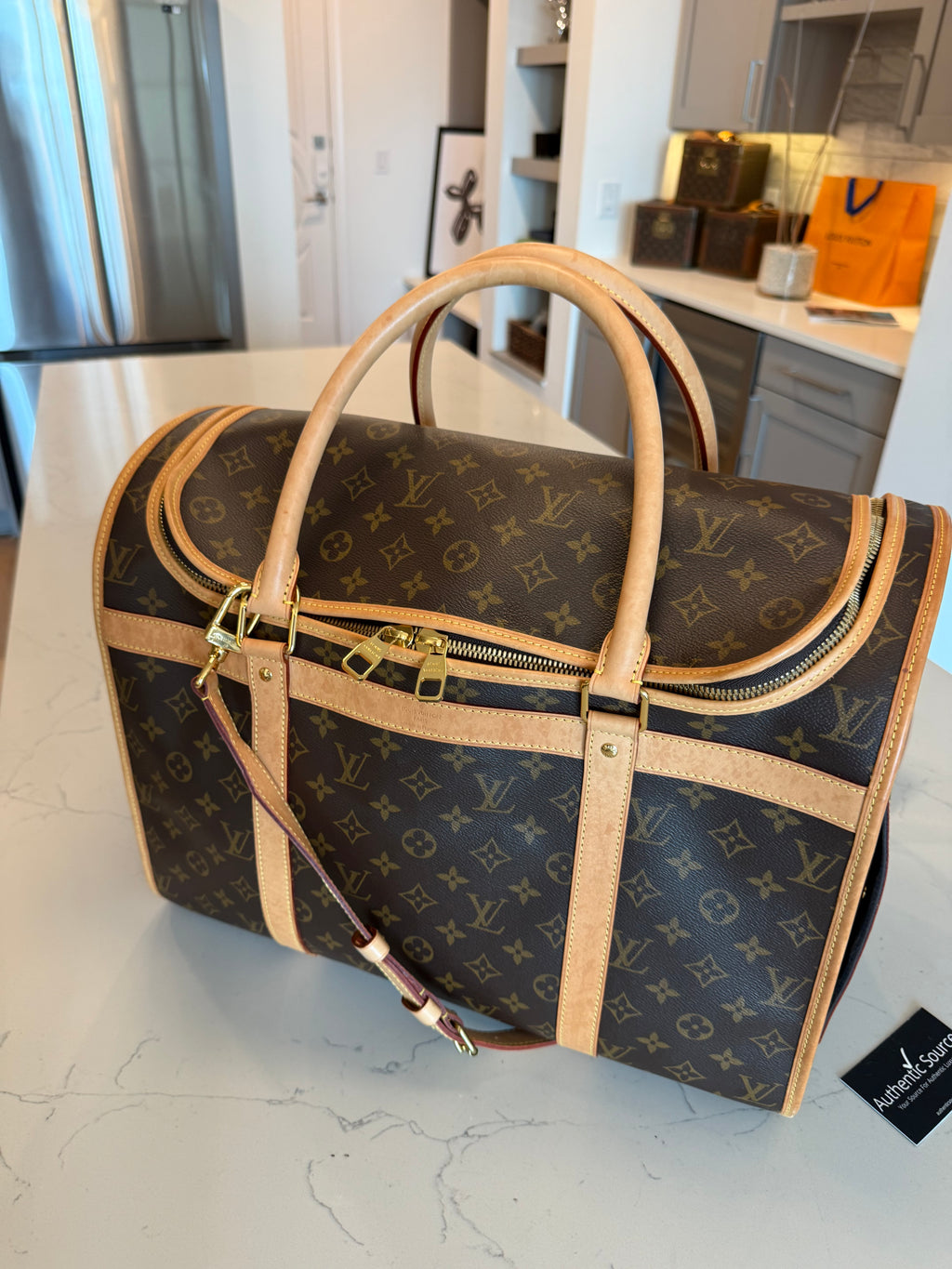 Louis Vuitton Pet Carrier