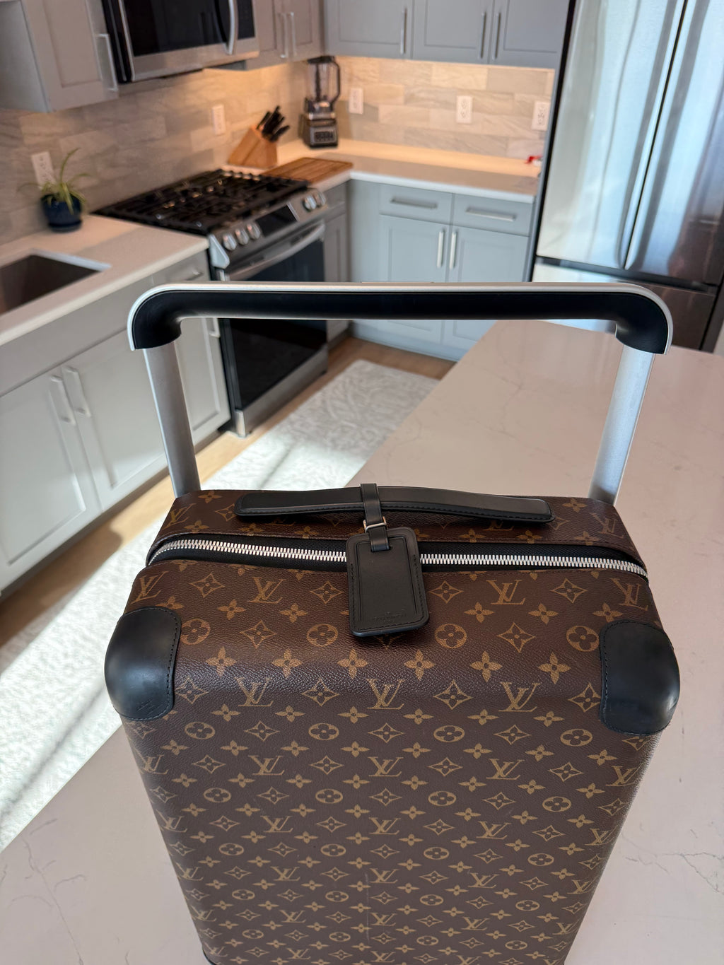 Louis Vuitton Horizon 55 Macassar