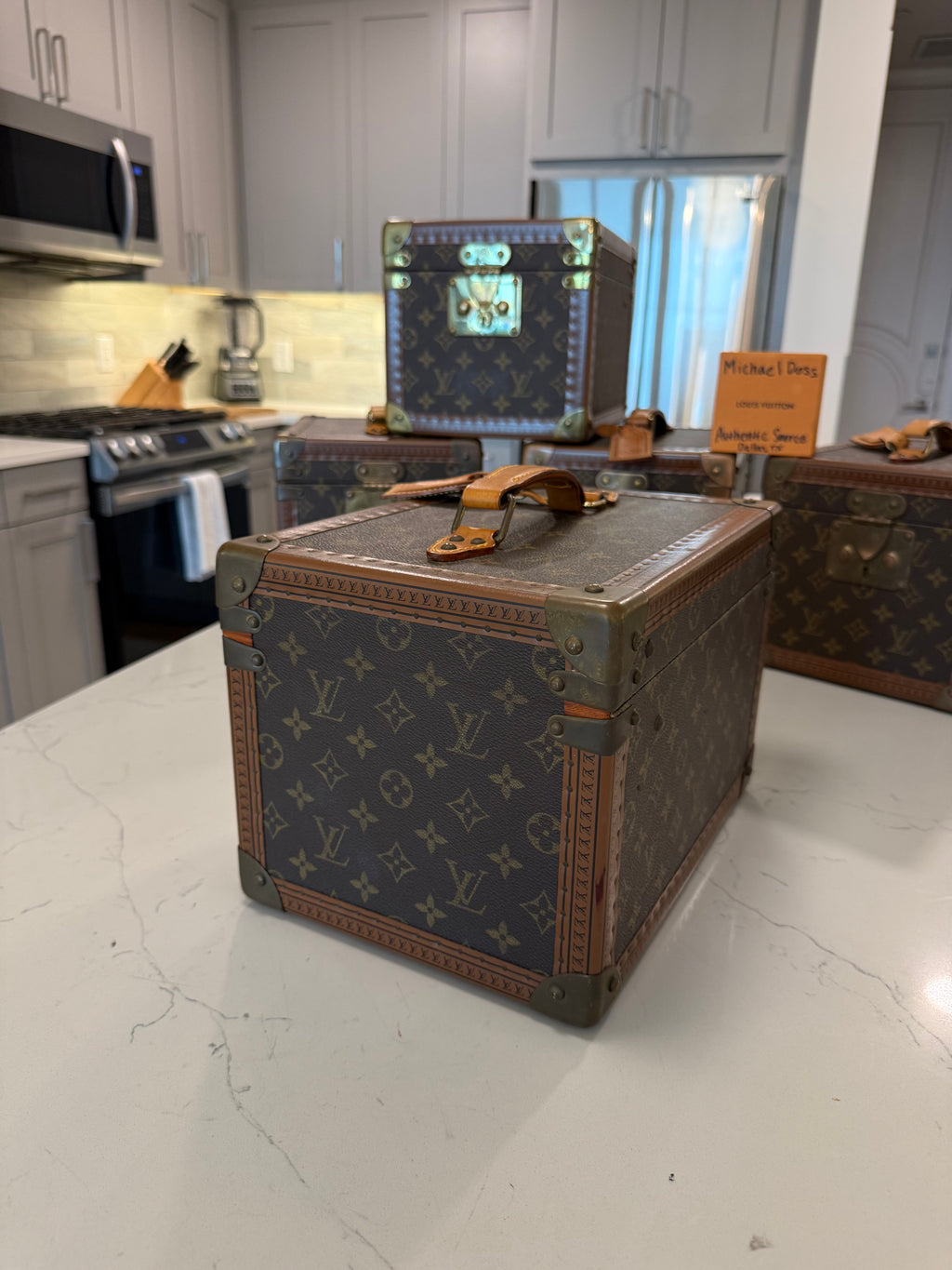 Louis Vuitton Boite Falcons Vanity Trunk
