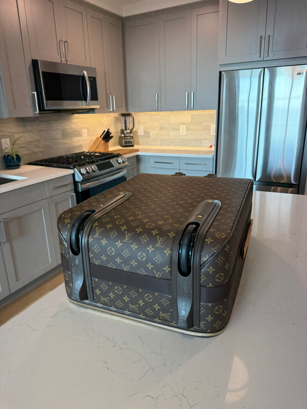Louis Vuitton Pegase 70 Rolling Luggage