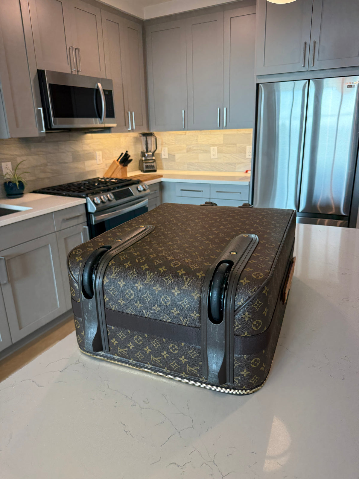 Louis Vuitton Pegase 70 Rolling Luggage