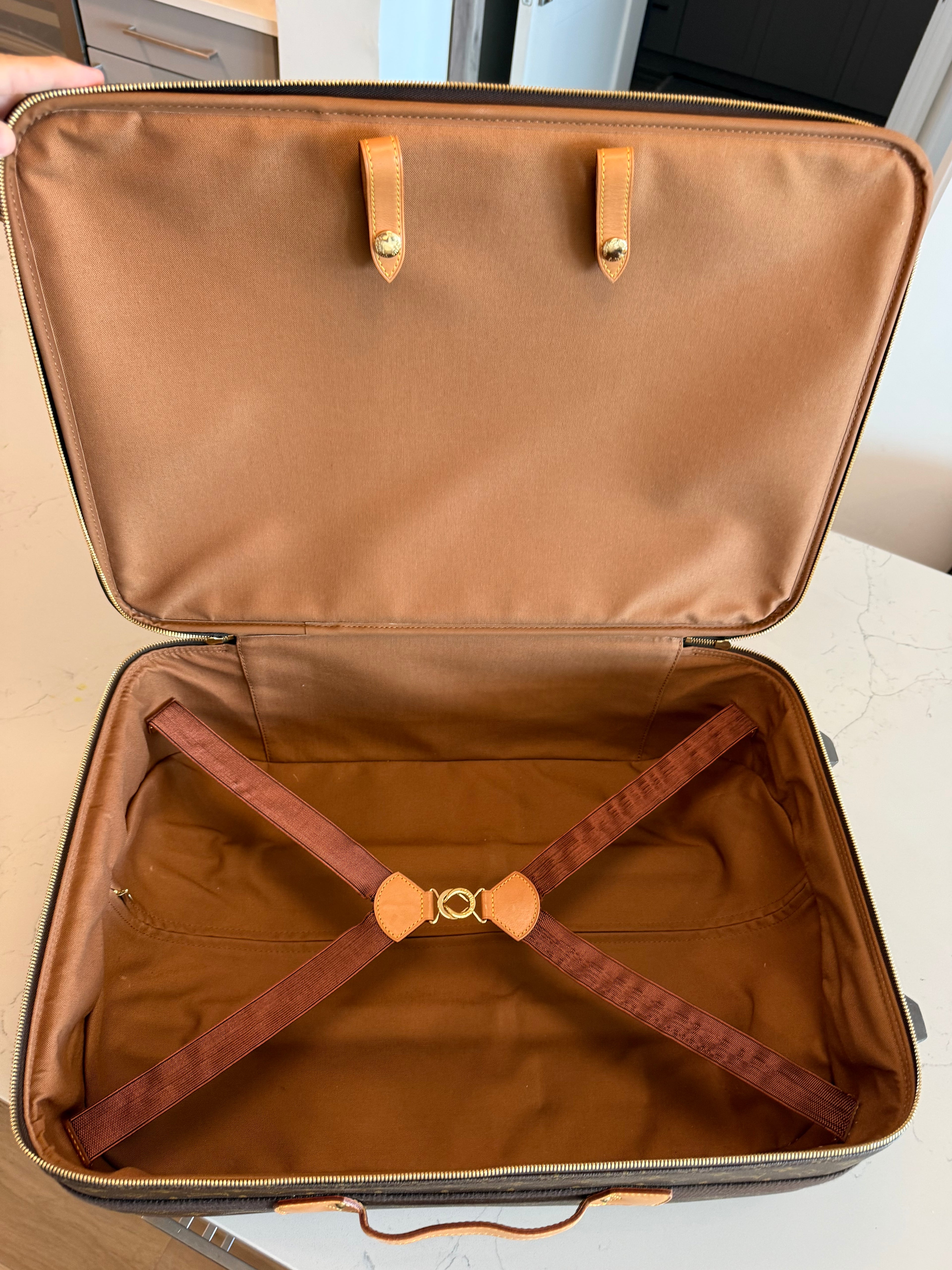 Louis Vuitton Pegase 55 Rolling Luggage