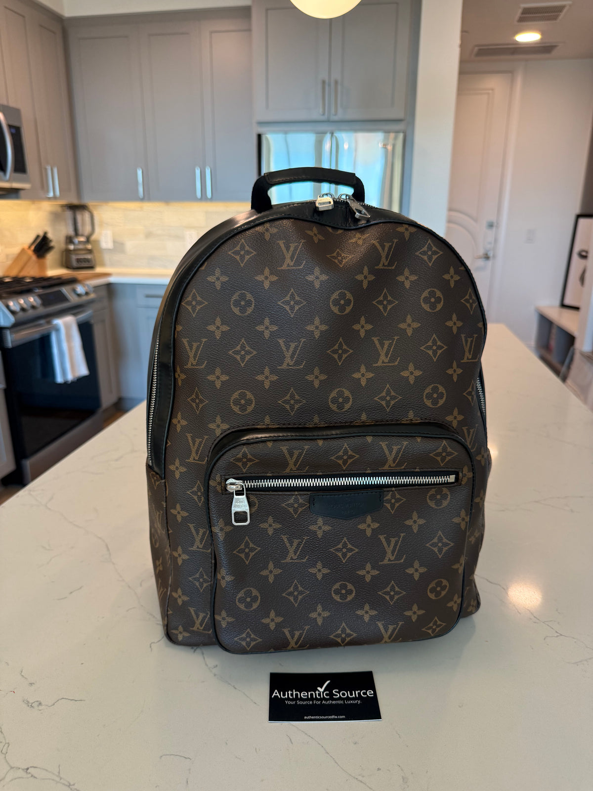 Louis Vuitton Josh Backpack Macassar