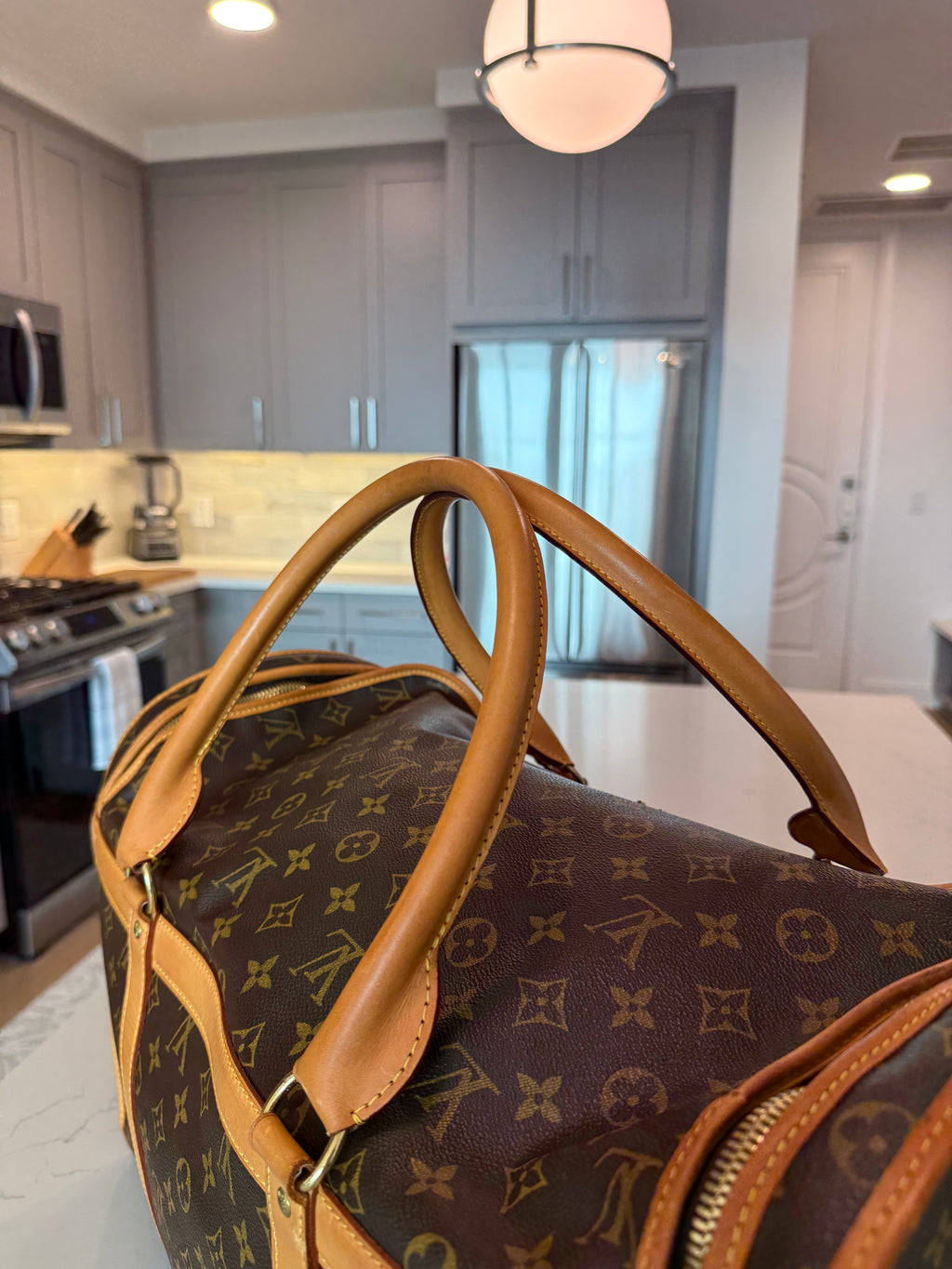 Louis Vuitton Pet Carrier Sac Chein 50
