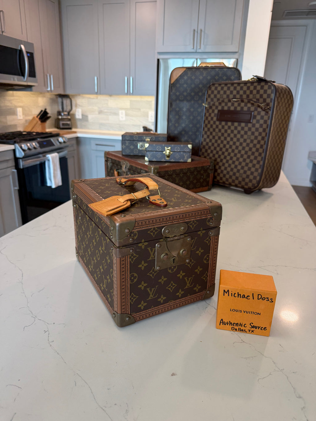 Louis Vuitton Boite Falcons Vanity Trunk