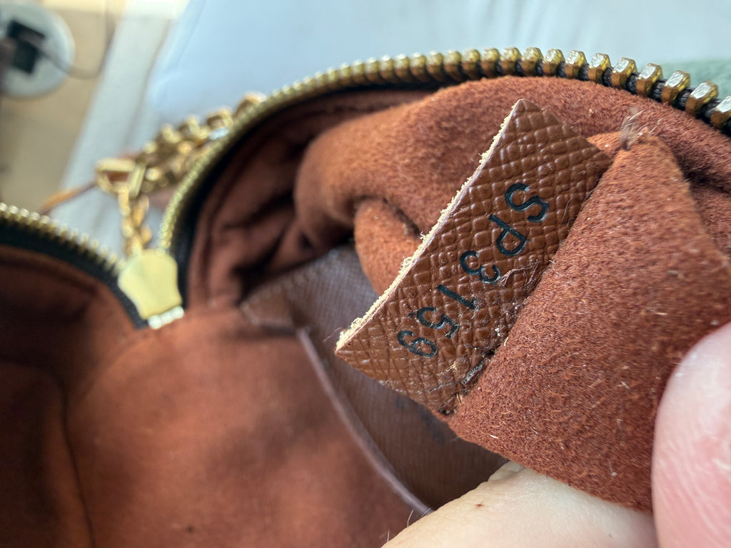 Louis Vuitton Monogram Phone Box Bag