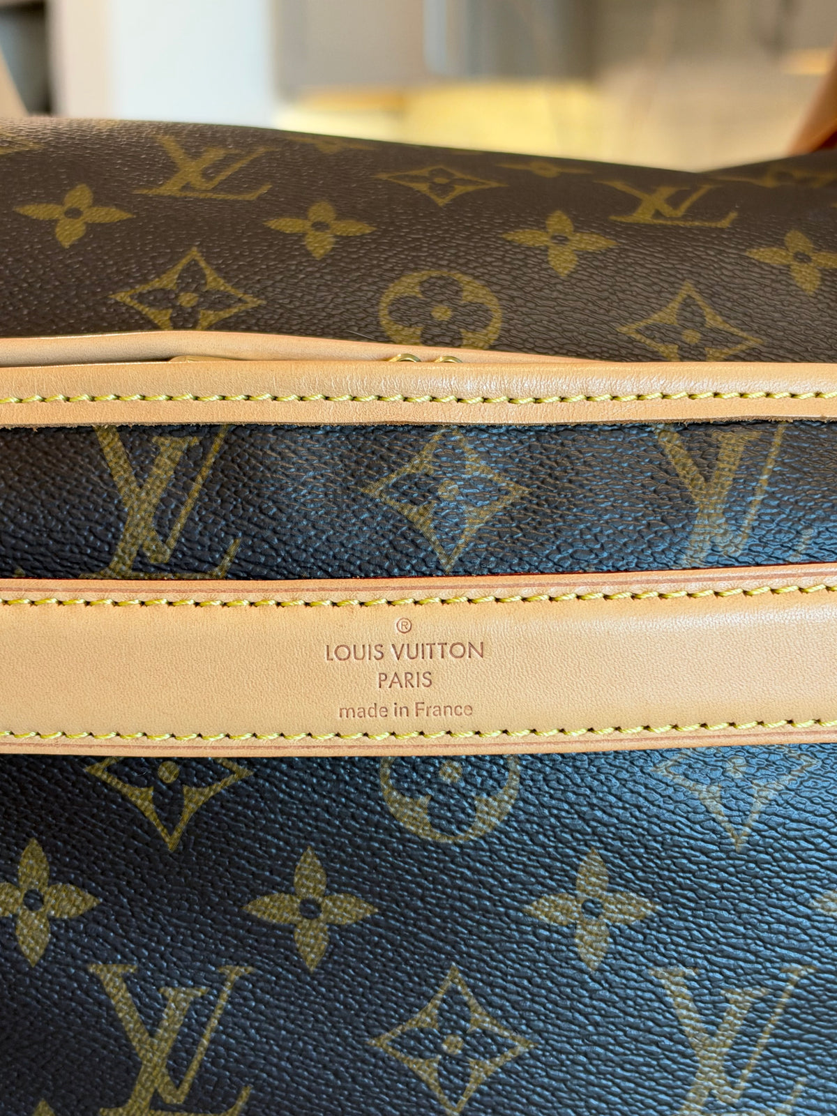 Louis Vuitton Sac Chein Pet Carrier New Model