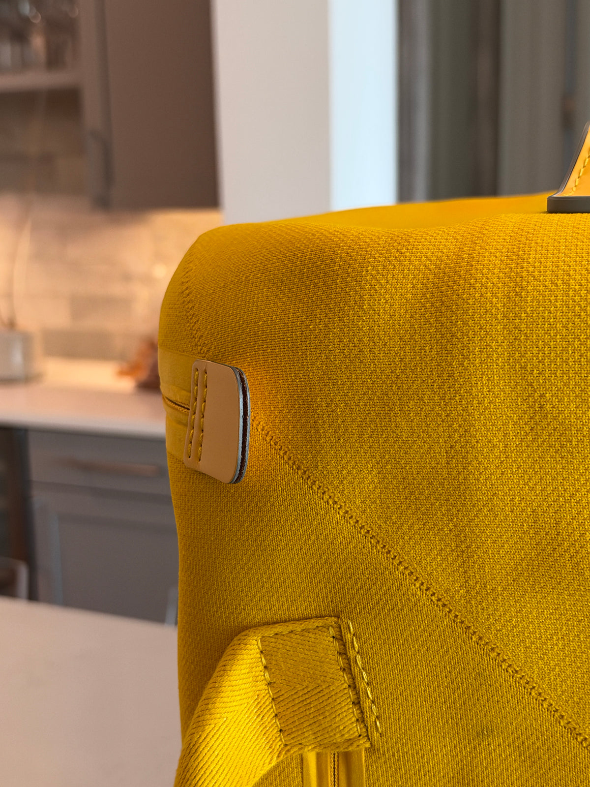 Louis Vuitton Soft Horizon Rolling Luggage