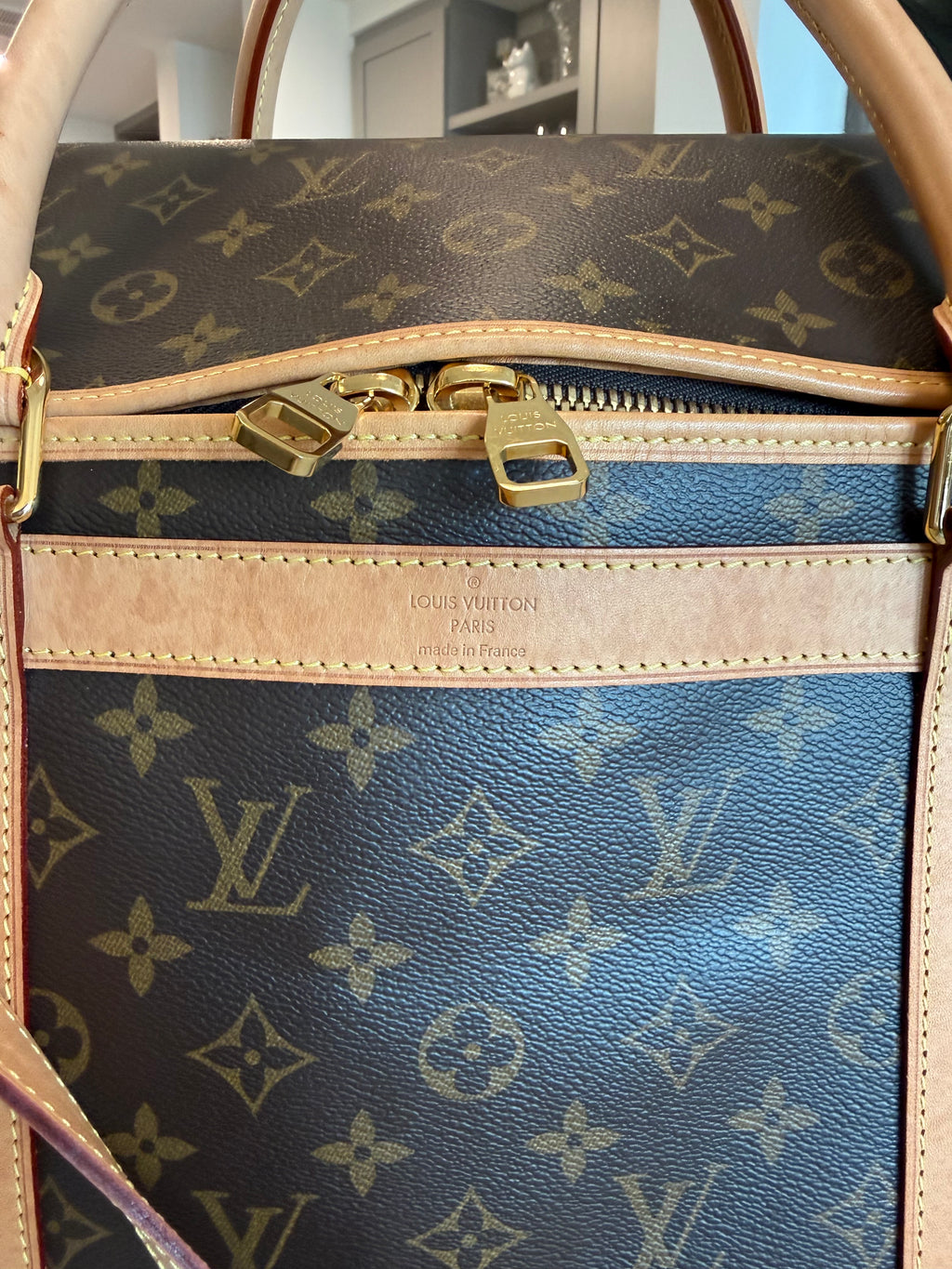 Louis Vuitton Pet Carrier