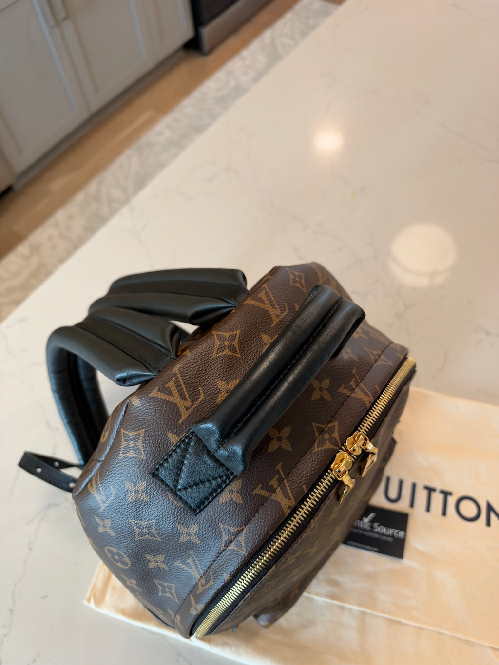 Louis Vuitton Palm Springs MM Backpack