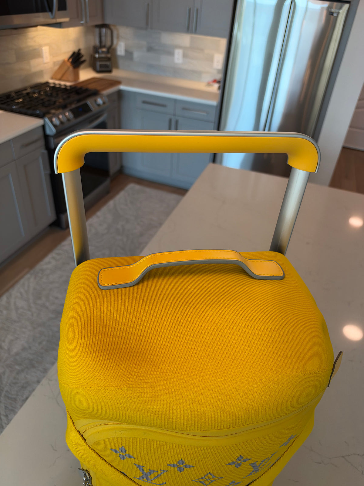 Louis Vuitton Soft Horizon Rolling Luggage