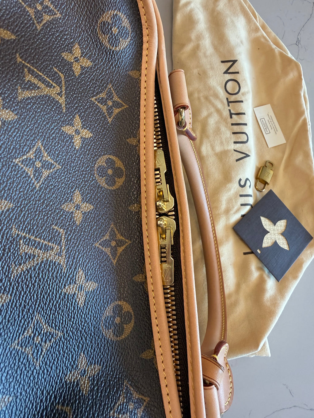 Louis Vuitton Sac Chein Pet Carrier