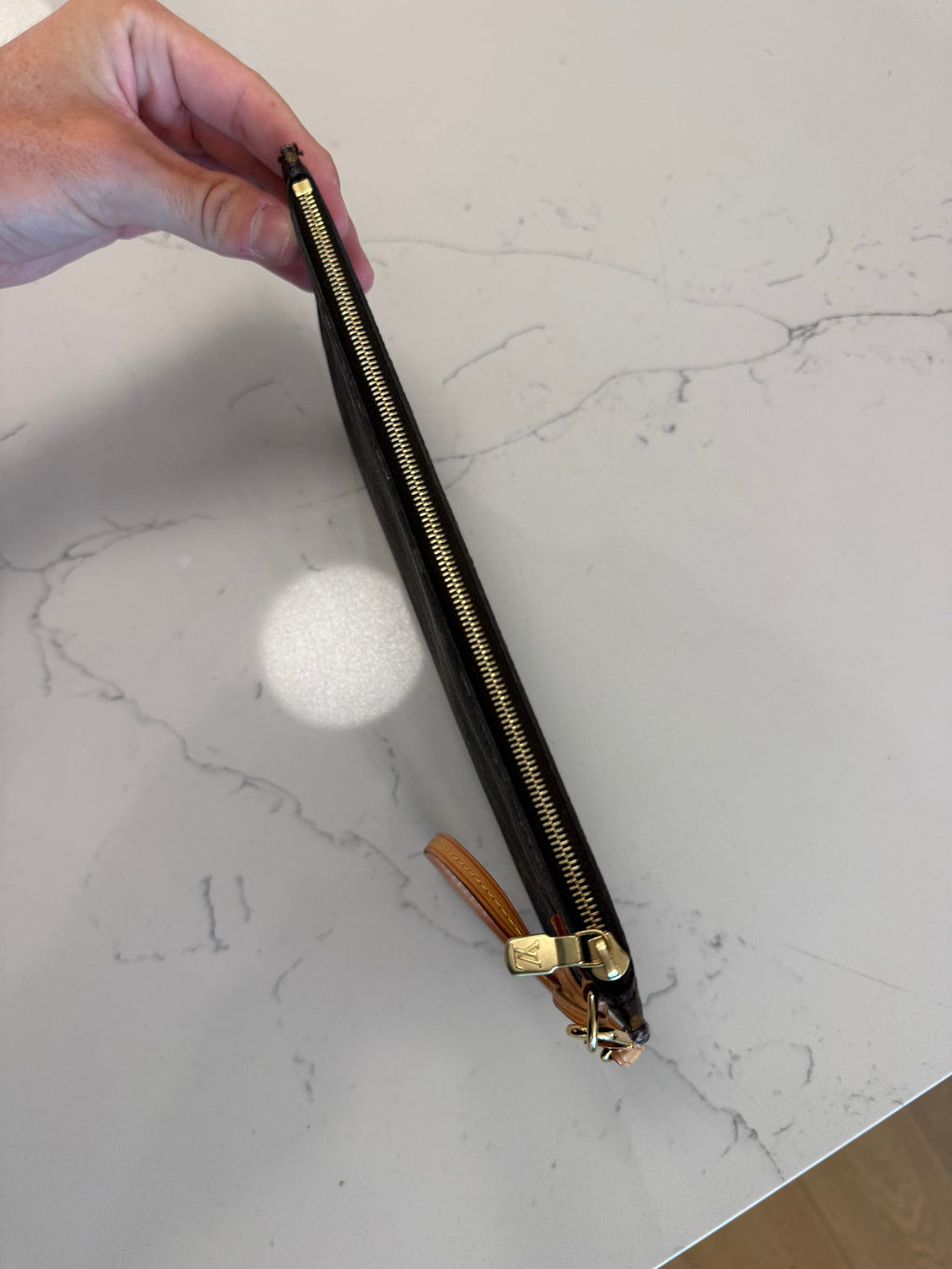 Louis Vuitton Clutch/Pouch
