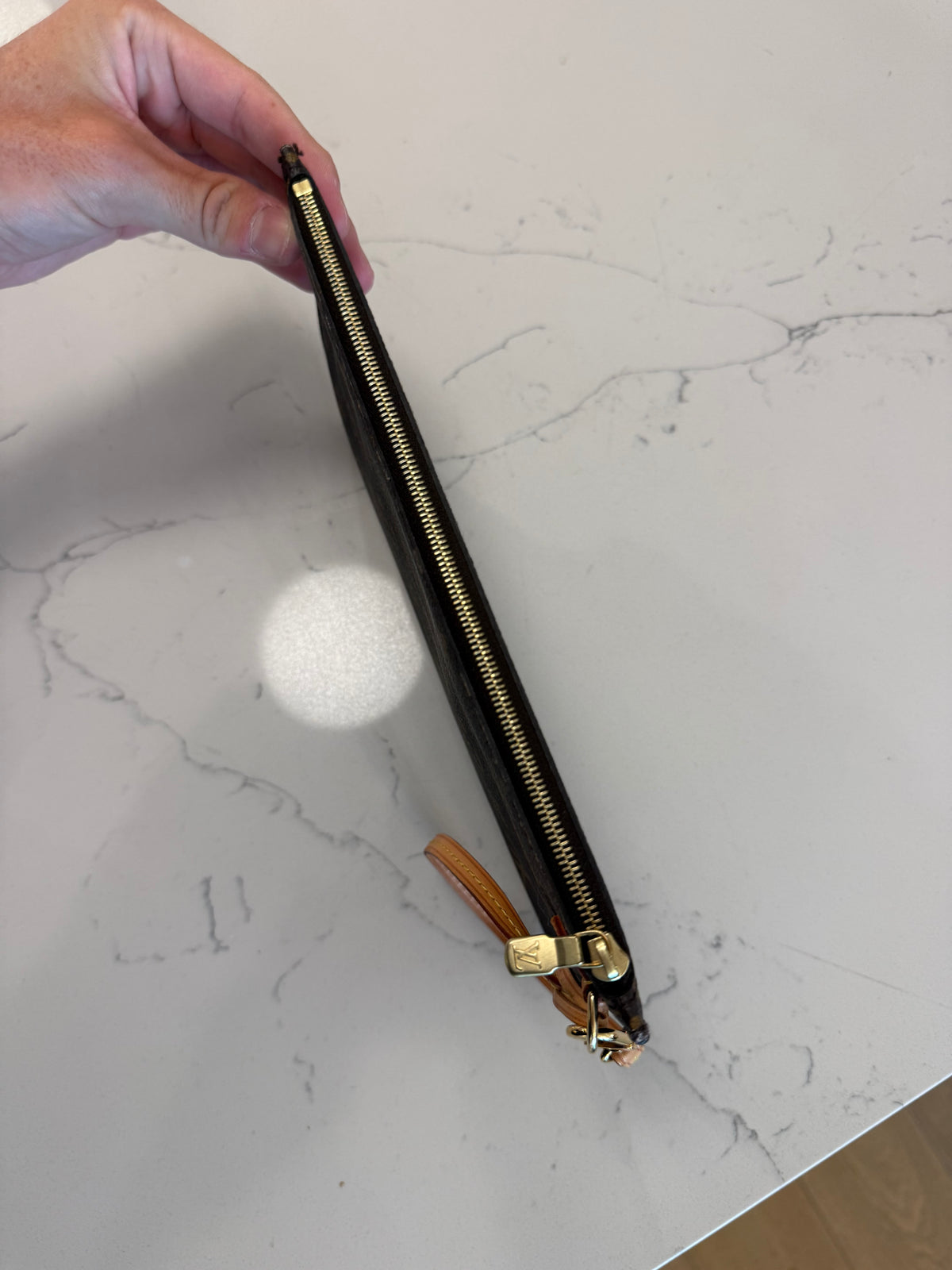 Louis Vuitton Clutch/Pouch