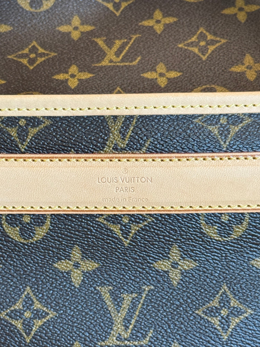 Louis Vuitton Sac Chein Pet Carrier