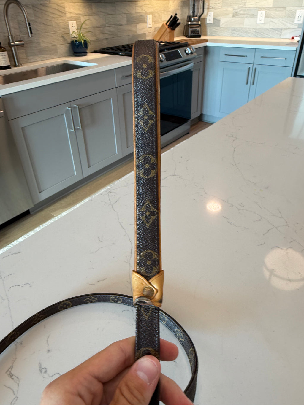 Louis Vuitton Dog Leash