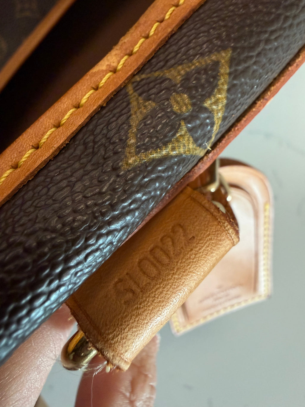 Louis Vuitton Pet Carrier Sac Chein 50