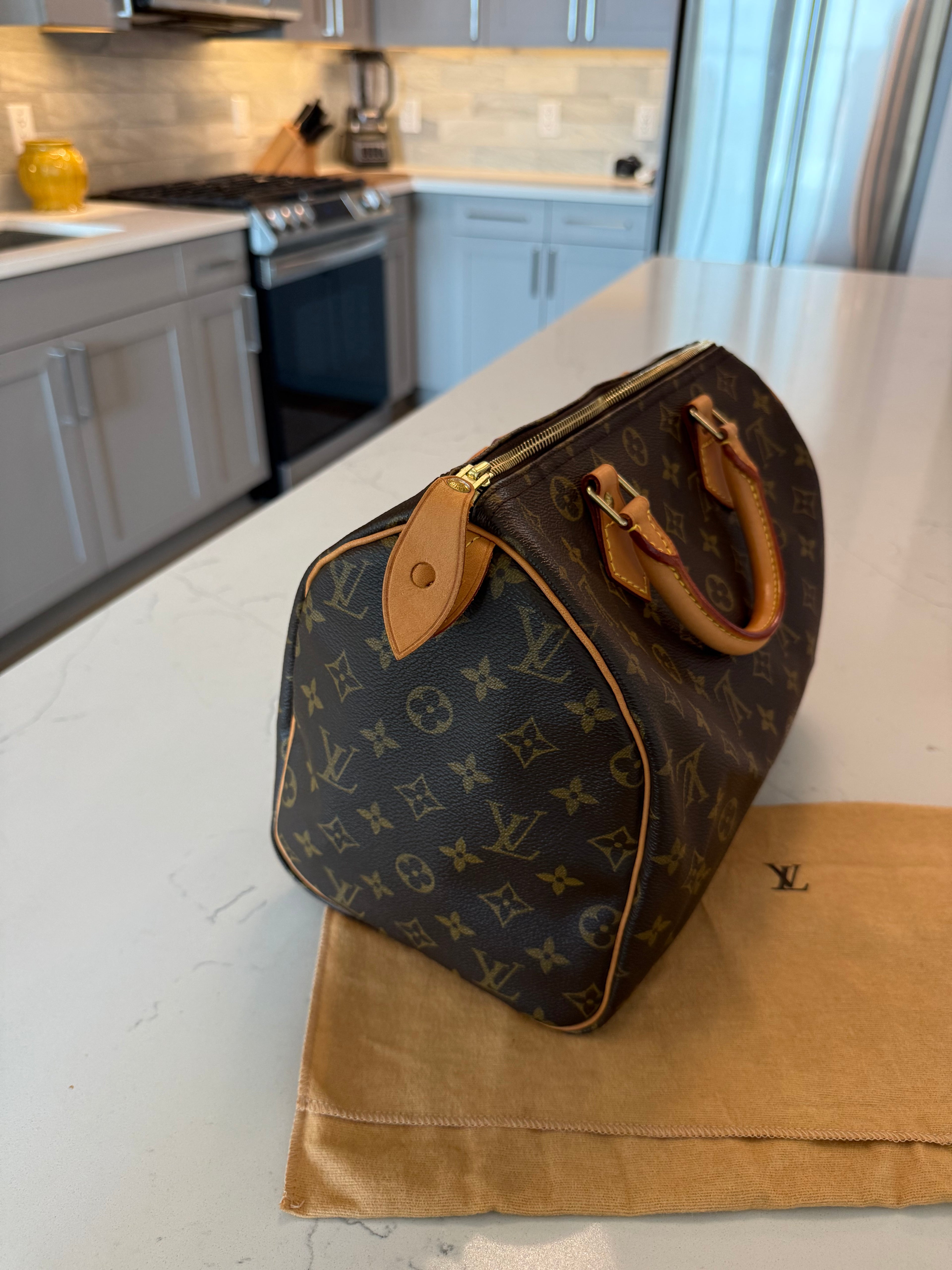 Louis Vuitton Speedy 30