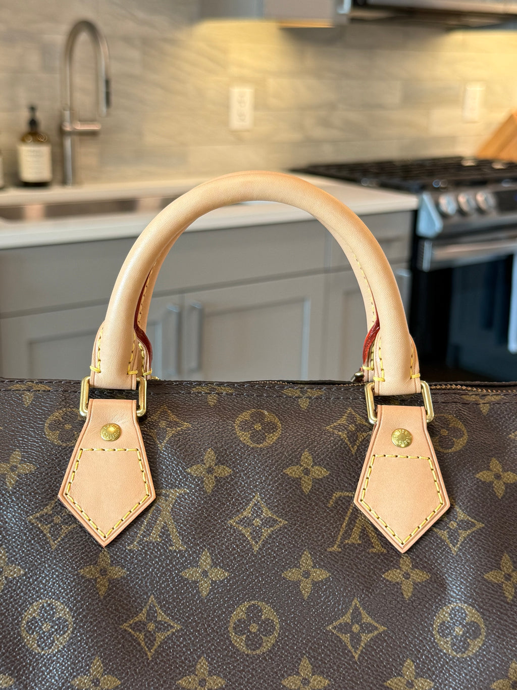 Louis Vuitton Speedy 30