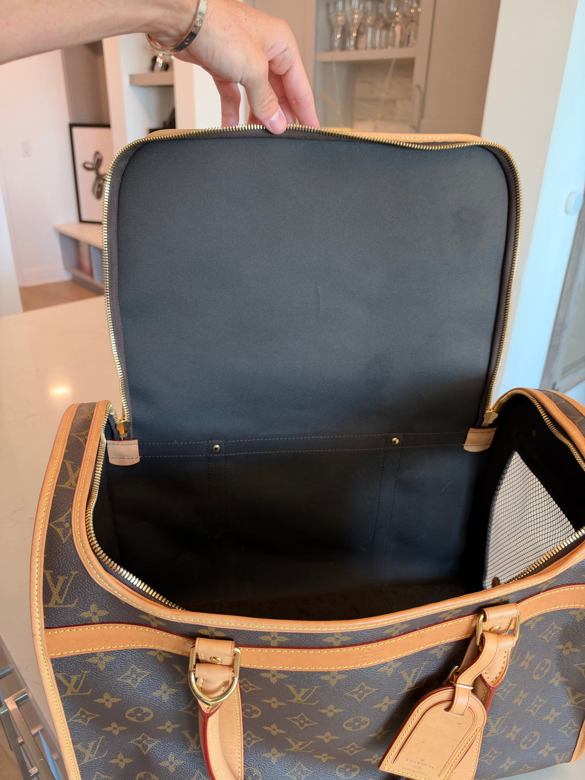 Louis Vuitton Sac Chein Pet Carrier New Model