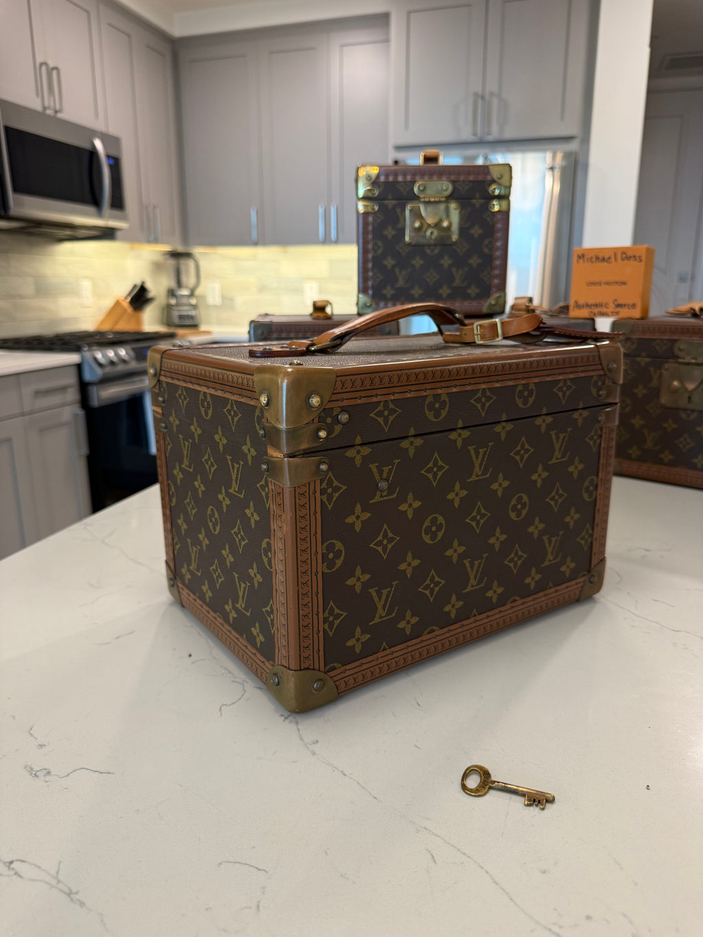 Louis Vuitton Boite Falcons Vanity Trunk