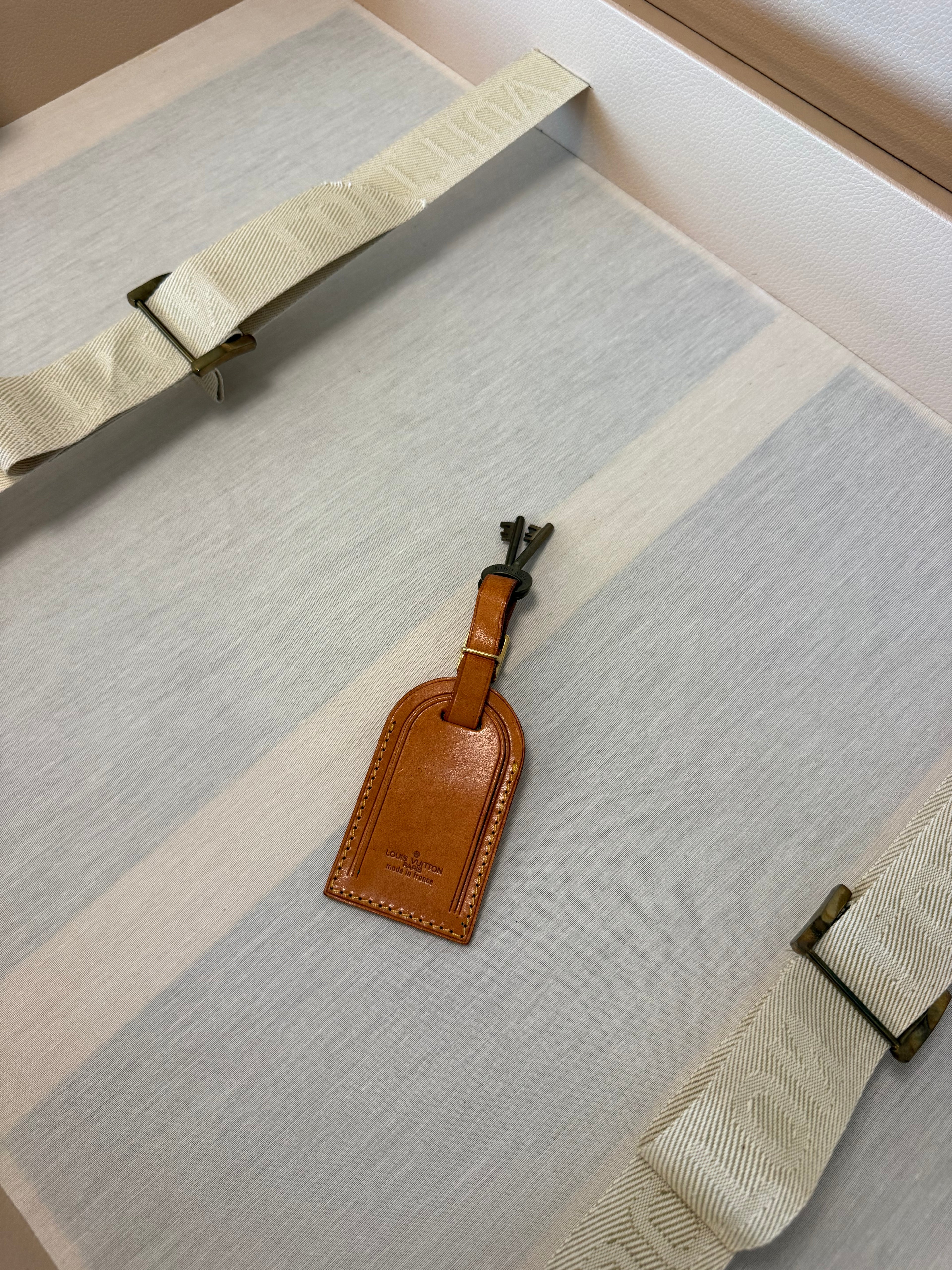 Louis Vuitton Alzer 80 Trunk