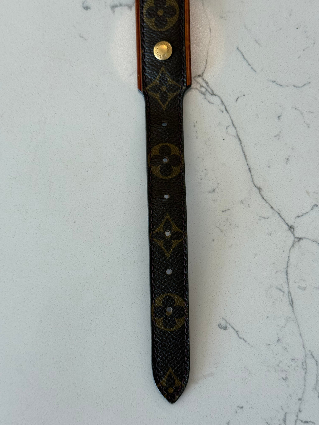 Louis Vuitton Baxter GM Pet Collar