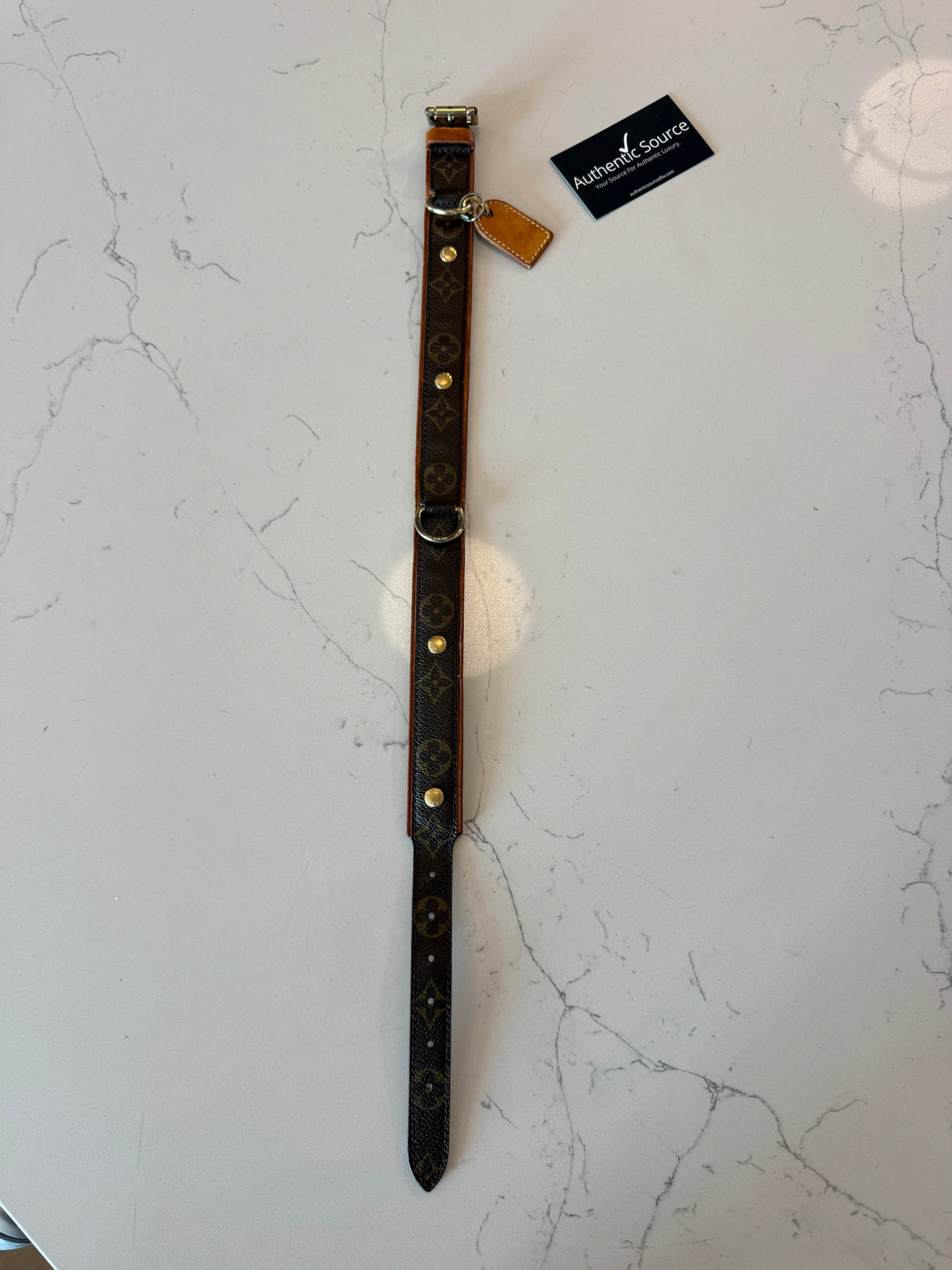 Louis Vuitton Baxter GM Pet Collar