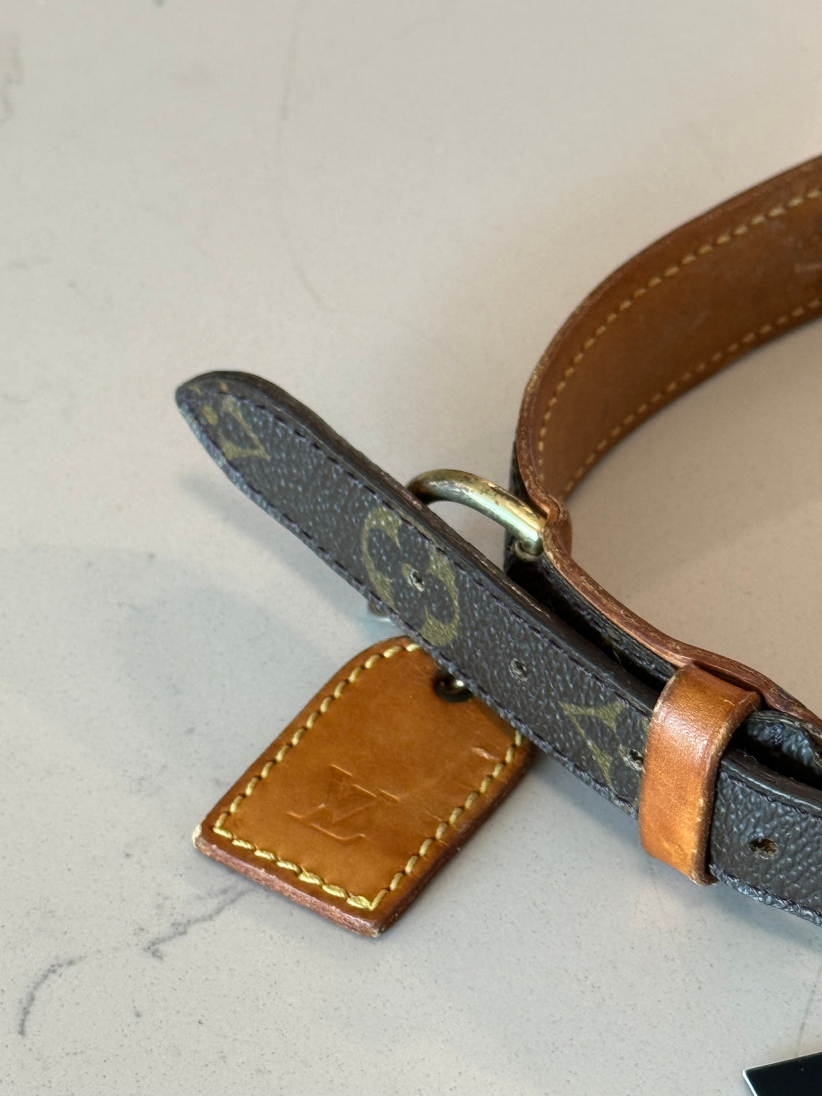 Louis Vuitton Baxter GM Pet Collar