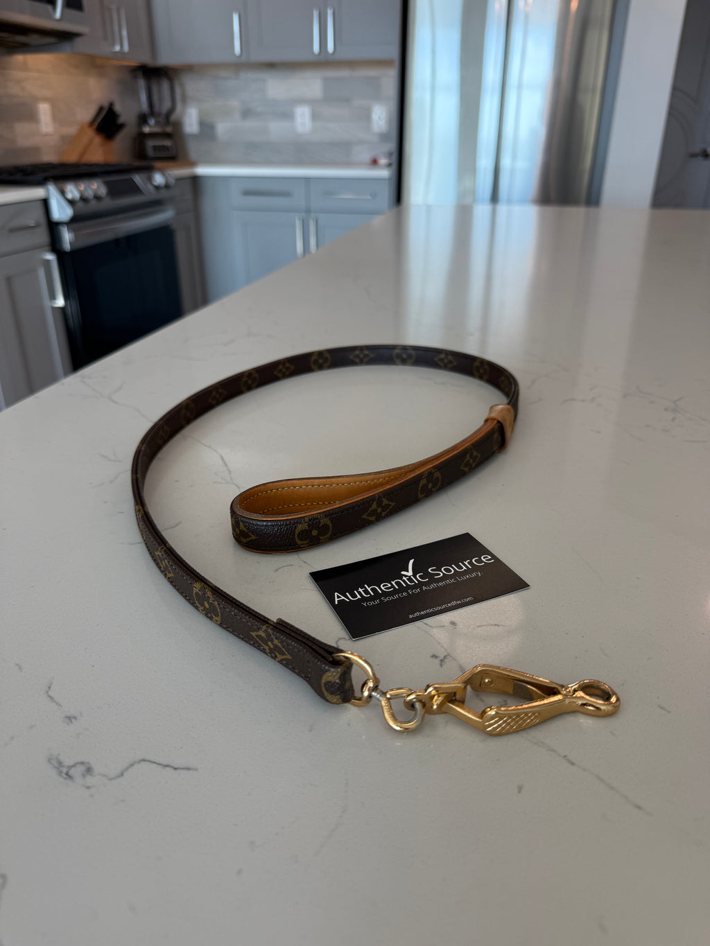 Louis Vuitton Dog Leash