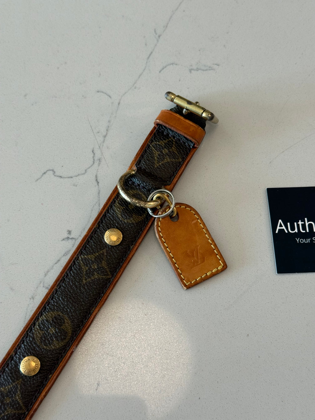 Louis Vuitton Baxter GM Pet Collar