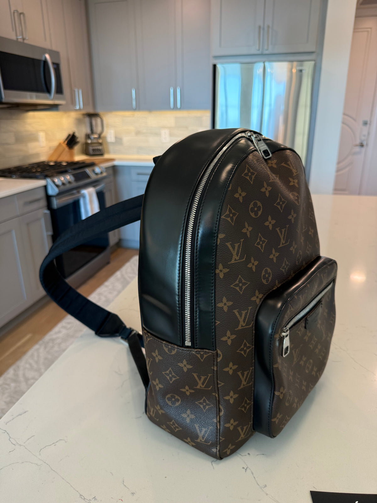 Louis Vuitton Josh Backpack Macassar