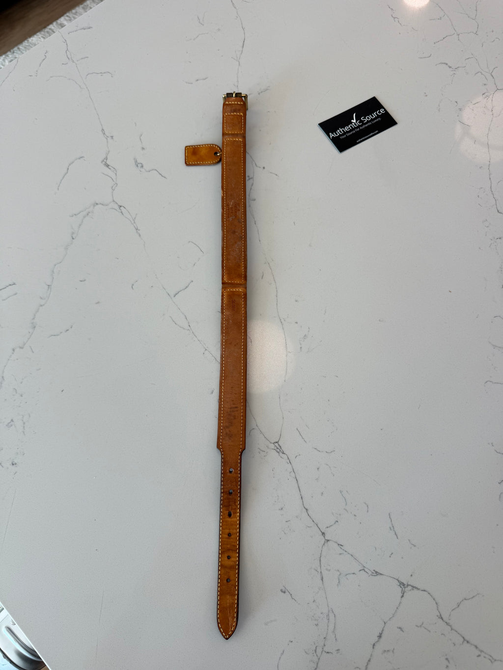 Louis Vuitton Baxter GM Pet Collar