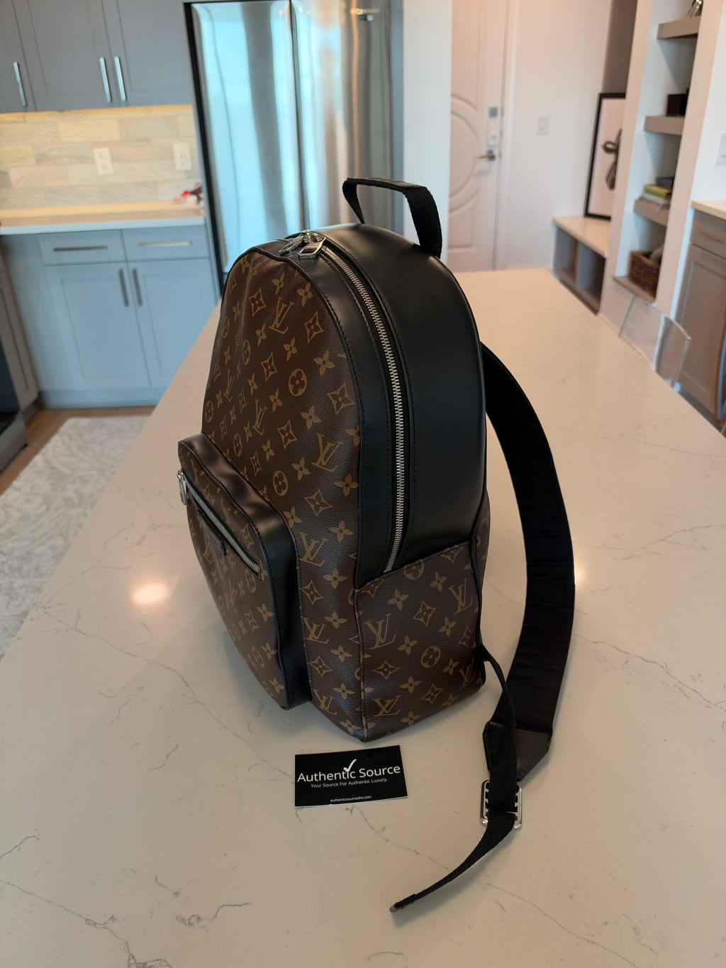 Louis Vuitton Josh Backpack Macassar