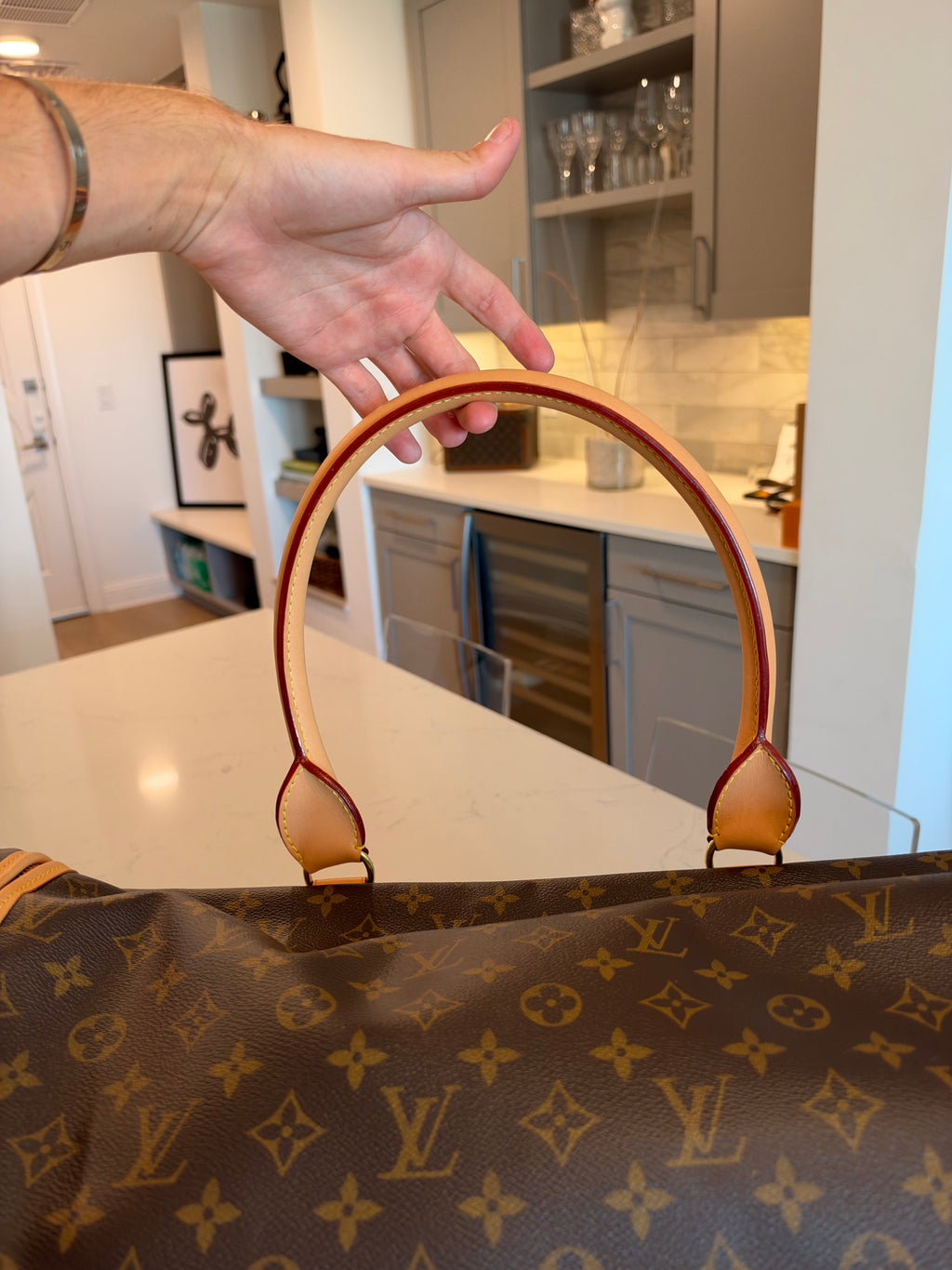 Louis Vuitton Sac Chein Pet Carrier New Model