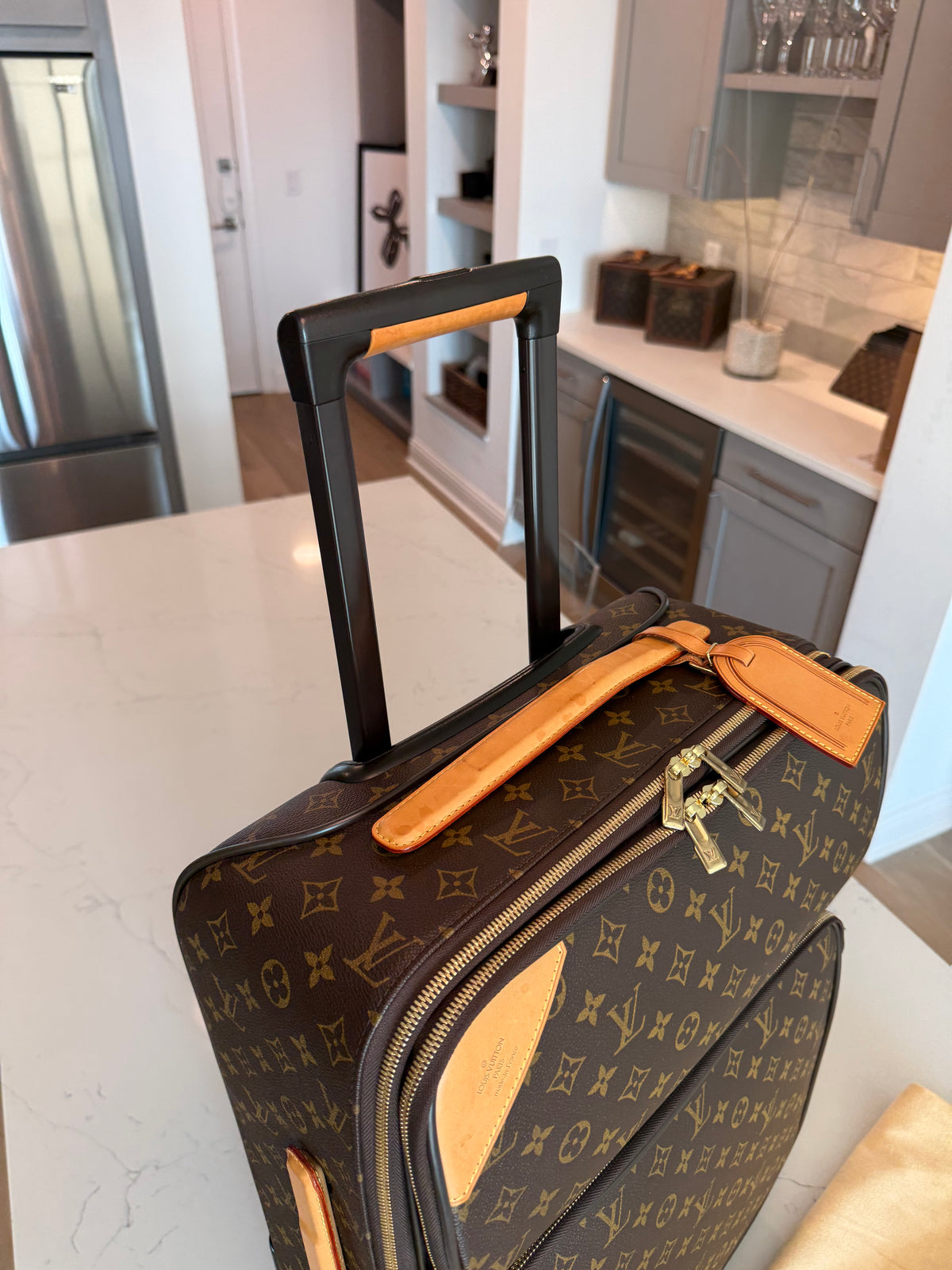 Pegase 55 Business Full Set with Protective Cover