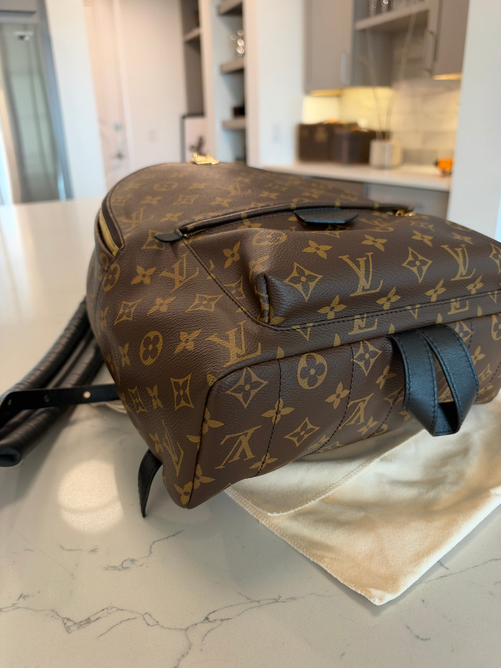 Louis Vuitton Palm Springs MM Backpack
