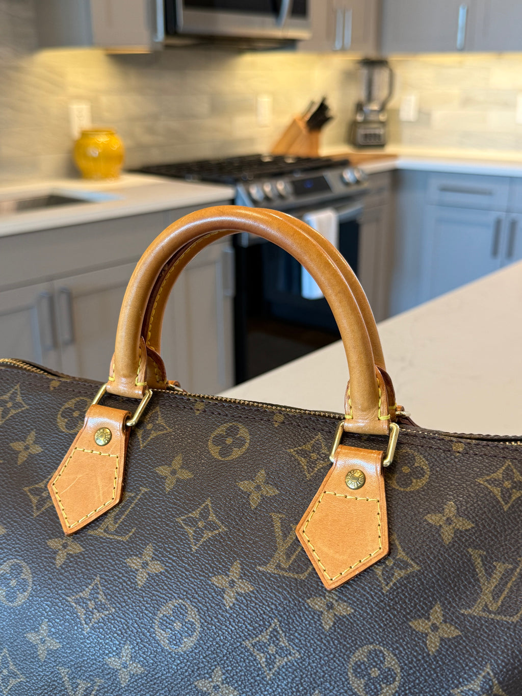 Louis Vuitton Speedy 30