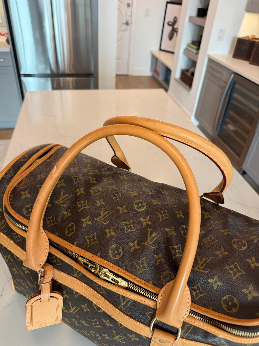 Louis Vuitton Pet Carrier Sac Chein 50